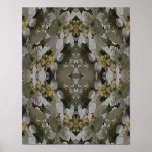 Poster Hydrangea à capuchon de dentelle blanche Miroir Fl