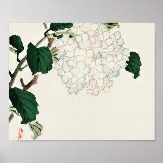 Poster Hydrangea par Kōno Bairei
