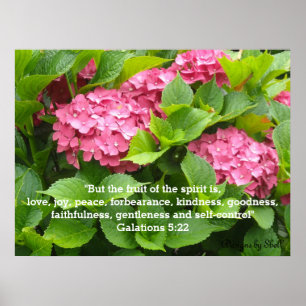 Poster Hydrangeas roses avec Écriture