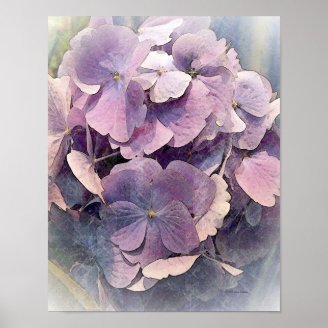 Poster Hydrangeas vintage violetPhoto Art (Devant)