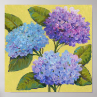 Hydrangée de printemps I