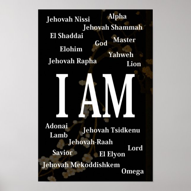 Poster I AM (Devant)