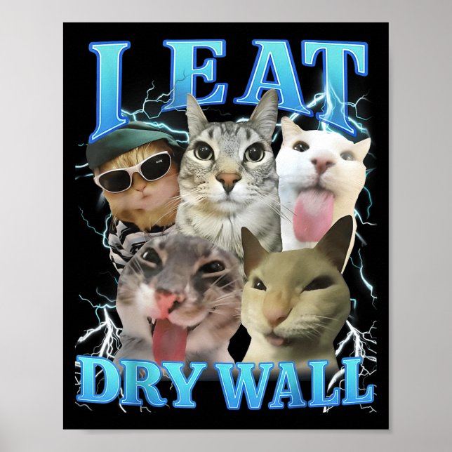 Poster I Eat Dry Wall Funny Cat Meme  (Devant)