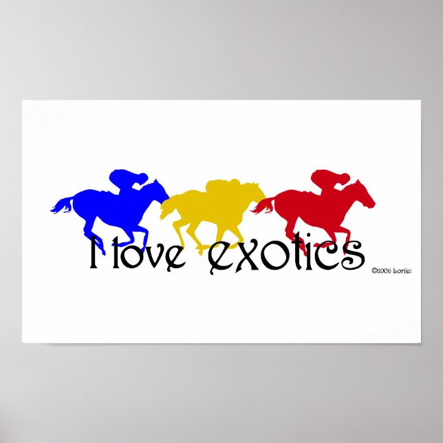 Poster I Love Exotics (Devant)