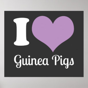 Poster I Love Guinea Pigs