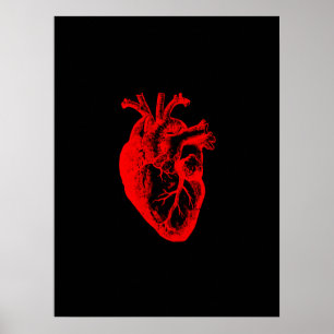 Poster I love / I coeur anatomie cardiaque