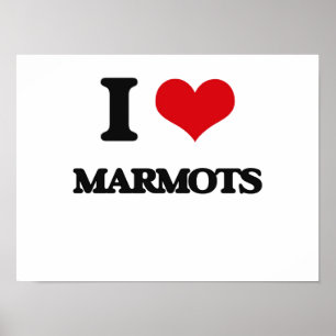 Poster I love Marmots
