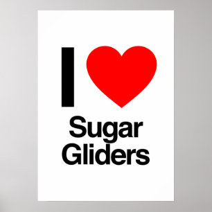 Poster i love sugar gliders