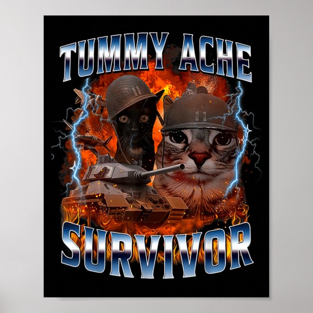 Poster I Survived Today's Tummy Ache Funny Silly Cat Meme (Devant)