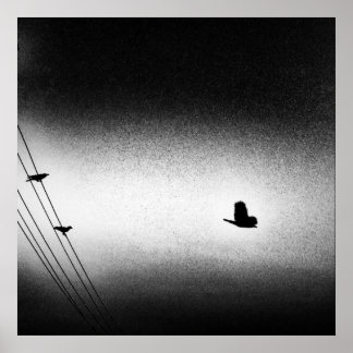 Poster Ianiverse Noir (La Mission)