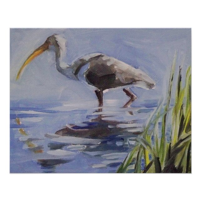 Poster Ibis dans le Marais Grassy (Devant)