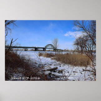 Poster Icey Delaware