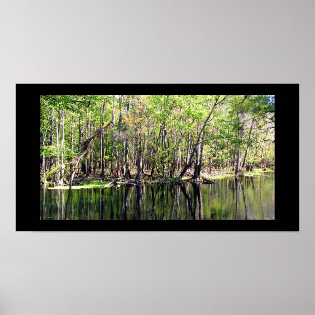 Poster Ichetucknee (Devant)