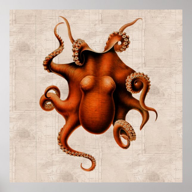 Poster Ici Il Y A Des Monstres (Devant)