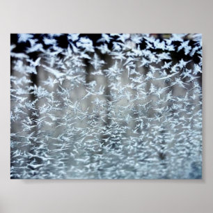 Poster Icicules d'hiver