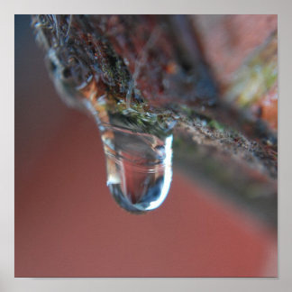 Poster Icône colorée