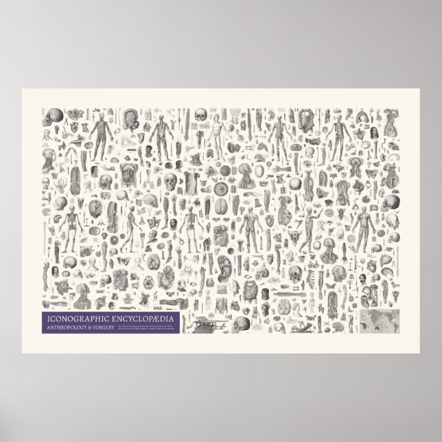 Poster Iconographie - Anthropologie & Chirurgie (Devant)