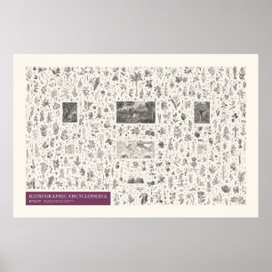 Poster Iconographie - Botanique