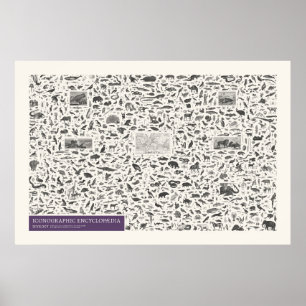 Poster Iconographie - Zoologie Chiffres