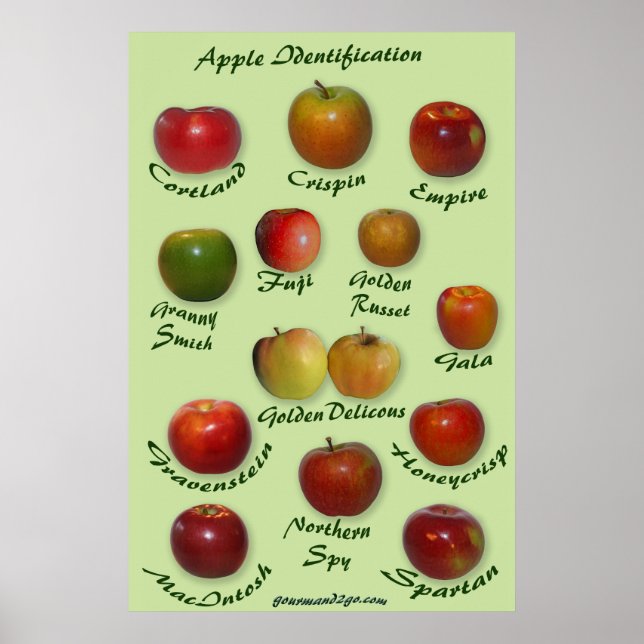 Poster Identification Apple (Devant)