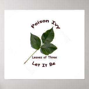 Poster Identifiez l'affiche de lierre de poison
