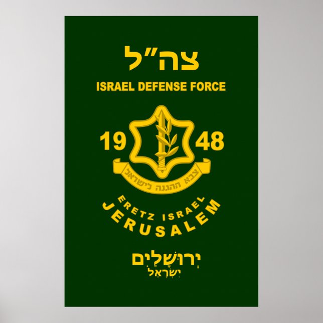 Poster IDF - Programme de bénévolat de Sar El (Devant)