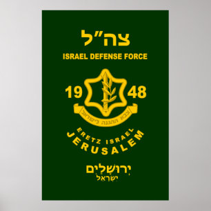 Poster IDF - Sar El Volunteer Program