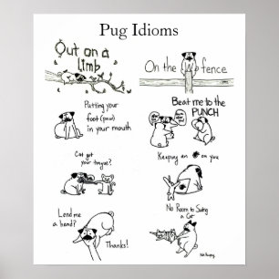Poster Idioms de carlin