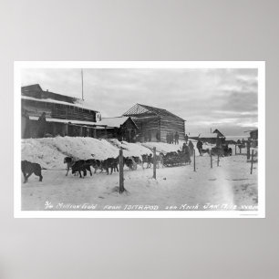 Poster Iditarod Alaska Birdseye 1914