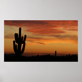 Poster IDKP Arizona cactus au coucher du soleil