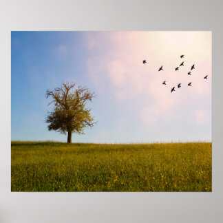 Poster Idylle champêtre avec oiseaux