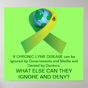 Poster Ignorer et nier la maladie chronique de Lyme Épidé
