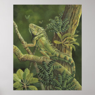 Poster Iguana