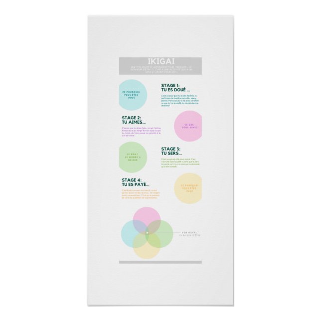 Poster Ikigai (Devant)