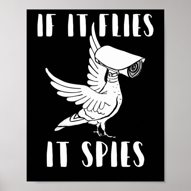 Poster Il espionne la théorie du complot Les oiseaux ne s (Devant)