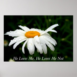 Poster Il M'Aime, Il Ne M'Aime Pas