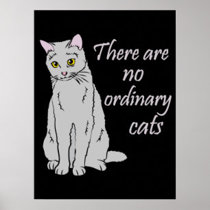 Poster Il N'Y A Pas De Chats Ordinaires - Chat Gris