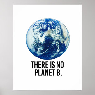Poster Il n'y a pas de planète B