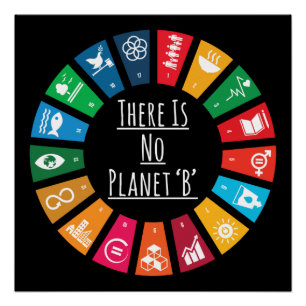 Poster Il N'Y A Pas De Réchauffement climatique Planète