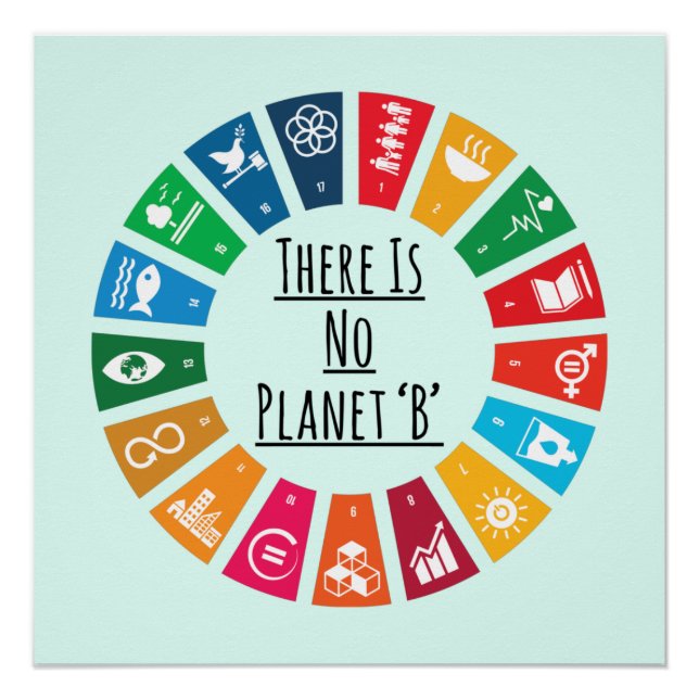 Poster Il N'Y A Pas De Réchauffement climatique Planète B (Devant)