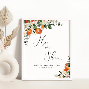 Poster Il ou elle petit genre mignon révèle