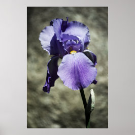 Poster Il y a Beauty Print