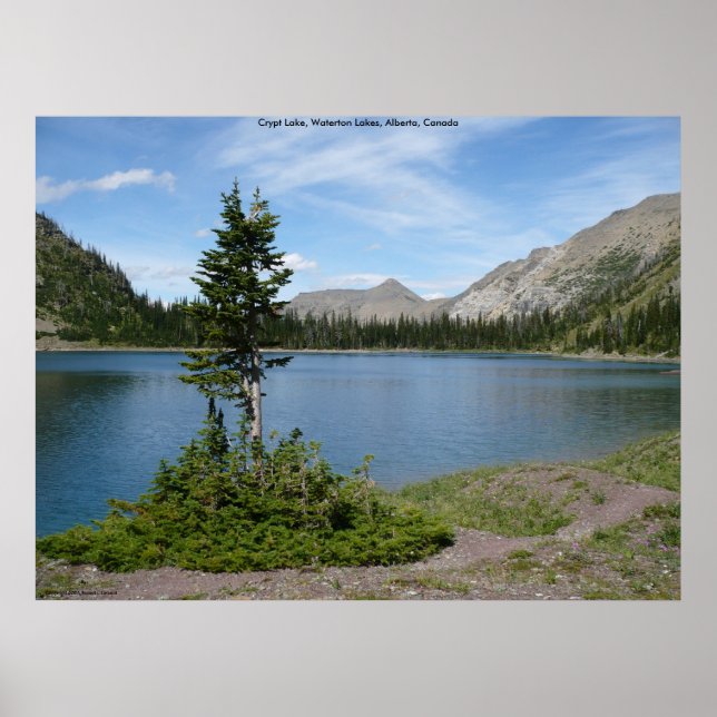 Poster Île (Devant)