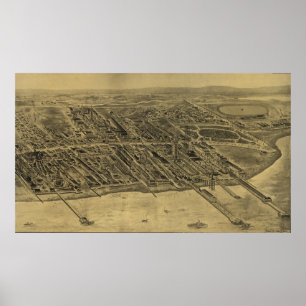 Poster Île de Coney (1906)