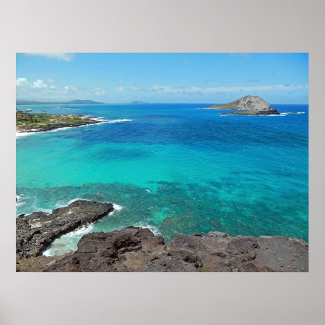 Poster Île de lapin (Devant)