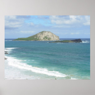 Poster Île de lapin sur l'affiche d'Ohau