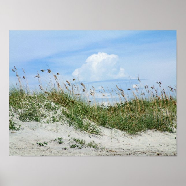 Poster Île des Palmes (Devant)