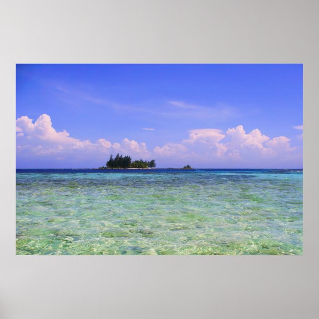 Poster Île Lonely (Devant)