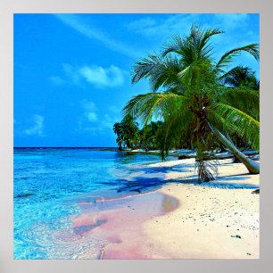 Poster Île tropicale avec les palmiers et la plage