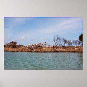 Poster Île Végétation 1